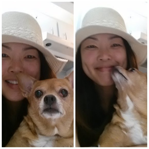 Meet your Posher, Beatrice - Picture 6 of 12